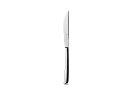 Evolve Steak Knife